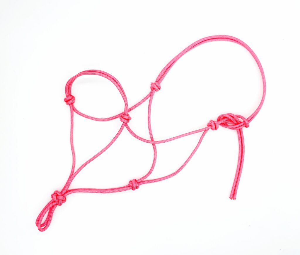 Halter — zaprojektuj swój